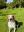IMG_4029.jpeg