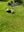 IMG_4031.jpeg