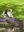 IMG_4033.jpeg