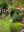 IMG_4036.jpeg