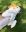IMG_4055.jpeg