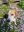 IMG_4056.jpeg