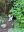 IMG_4116.jpeg
