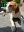 IMG_4117.jpeg