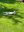IMG_4122.jpeg
