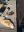 IMG_4131.jpeg