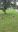 20180710_080643.jpg