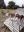 IMG-20220814-WA0002.jpg