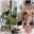 Collage_20230327_104249.jpg