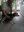 IMG_20231014_170650.jpg