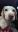IMG-20190128-WA0024.jpg