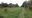 IMG-20190616-WA0009.jpg