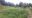 IMG-20190616-WA0011.jpg
