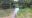IMG-20190616-WA0012.jpg