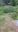 IMG-20190616-WA0013.jpg