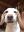 IMG-20190617-WA0012.jpg