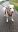 IMG-20190617-WA0014.jpg
