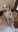 IMG-20190812-WA0046.jpg