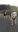 IMG-20191010-WA0016.jpg