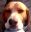 IMG_201510286_015259.jpg