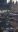 IMG-20190318-WA0001.jpg
