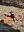 IMG-20220728-WA0002.jpg