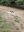 IMG-20220728-WA0003.jpg