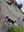 IMG-20220728-WA0004.jpg