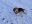 03C73A29-4436-41E0-BFEE-B88B996F49AA.jpeg