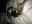 0E733AAF-C40D-49E5-91AE-18A787D85867.jpeg