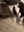 1046A08E-61F0-4D73-97D0-C24D217480B5.jpeg