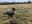 30F09820-3B44-40AE-8F36-03F439AA3912.jpeg