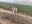 4ED5EABA-2C79-4058-A907-A0D79D0C89E1.jpeg