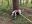 6D58DFAE-E366-4E4E-B832-FE655DCADC5F.jpeg