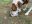 706AC1FF-D2BC-4492-AB27-07FC109E5736.jpeg