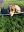 706F3685-9F8D-4E30-BFA4-9343573FBFA3.jpeg