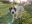 800463AA-2CAA-4466-9DCF-846127FE4A7C.jpeg