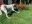 928D4C35-79F2-4ACA-A6F6-318851D4837F.jpeg