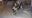 A22AE12B-0110-41D8-898C-D7CB91498490.jpeg