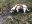 A9679AD6-C22D-429C-9E47-A4FE1AD1691F.jpeg