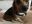 C8D6DB14-E80C-49A1-98D5-39317ED1C2F6.jpeg