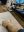 F8616FF9-E1DF-4520-A60C-D5A80DDAAD5E.jpeg