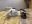 2023-05-08Rocky2.jpg