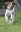 2023-05-17Rocky3.jpg