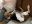 IMG_0620.jpeg