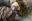 IMG_1232.jpeg
