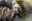 IMG_1233.jpeg