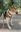 IMG_2988.jpeg
