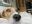 IMG_6759.jpeg