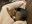 IMG_6783.jpeg